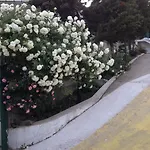 فندق Zora ساني بيتش