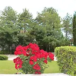 فندق Zora