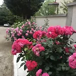 فندق Zora 3*