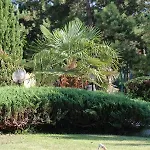 فندق Zora