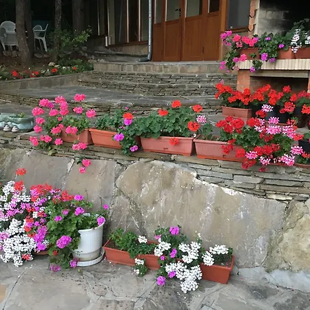 Zora فندق