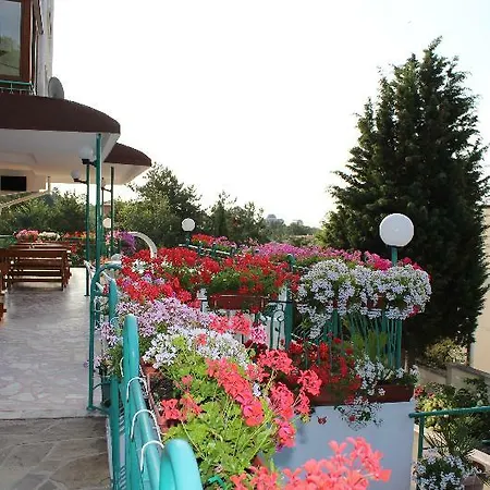 Zora Отель 3*