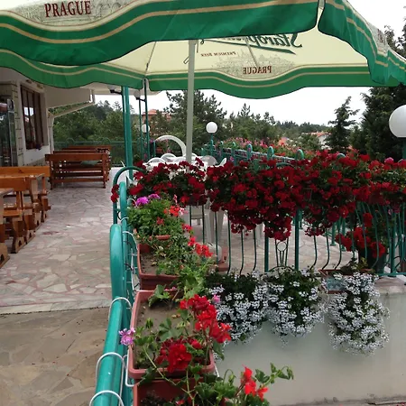 Zora Hotel 3*