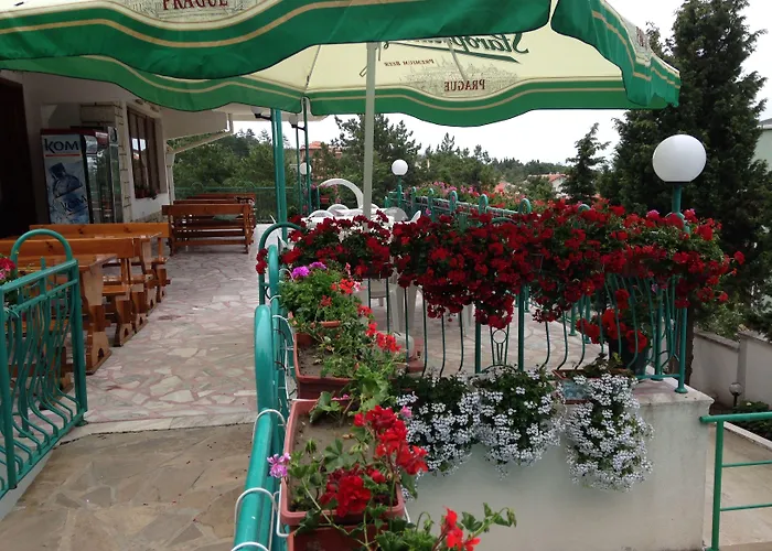 Zora Hotel 3*