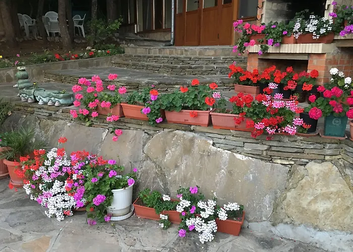 Zora Hotel