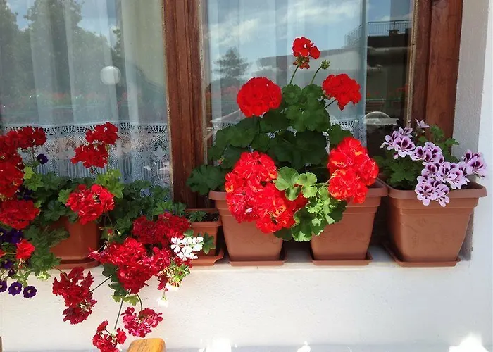 Zora Hotel Sluneční pobřeží