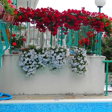 Zora Slăntjev Brjag