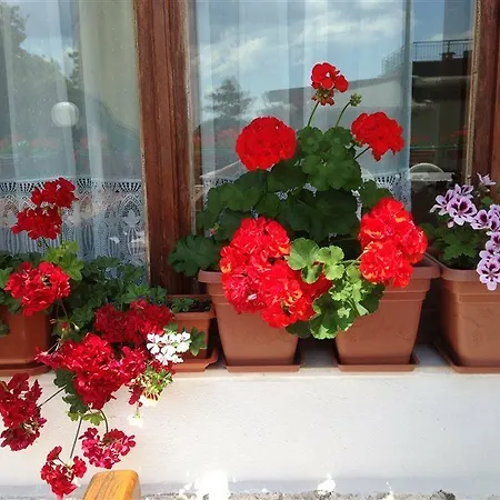 Zora Hotell Slăntjev Brjag