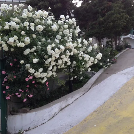 فندق Zora ساني بيتش