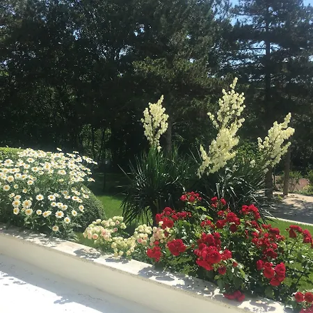 Hotel Zora Sunny Beach