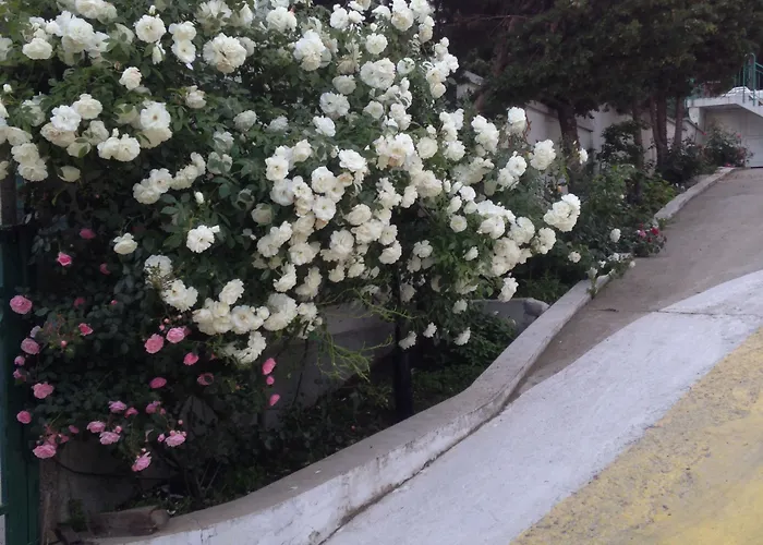 Отель Zora Солнечный берег