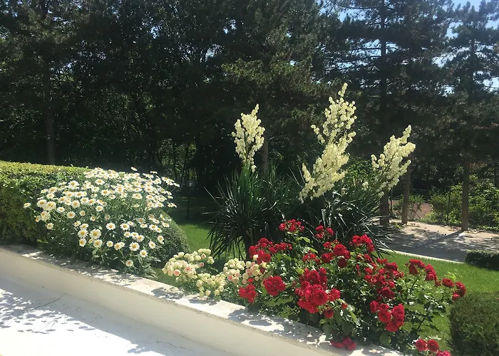 Отель Zora Солнечный берег