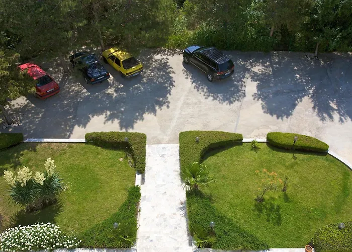 Zora Солнечный берег